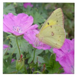 Carreau Tuile jaune de papillon