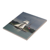 Carreau Tuile Lynx (Côté)