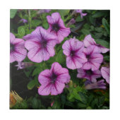 Carreau Tuile mauve (Devant)