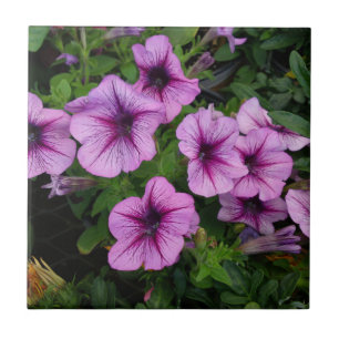 Carreau Tuile mauve