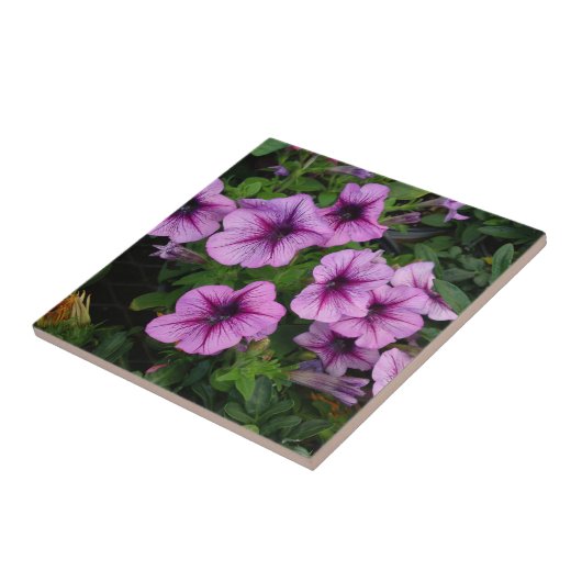 Carreau Tuile mauve (Côté)