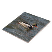 Carreau Tuile Merganser à poitrine rouge (Côté)