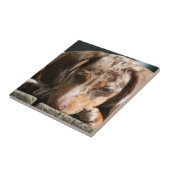 Carreau Tuile mignonne de chiot de Daschund (Côté)