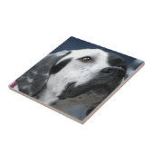 Carreau Tuile noire et blanche de chien d'indicateur (Côté)