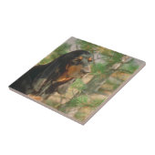 Carreau Tuile noire et bronzage de Coonhound (Côté)