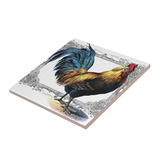 Carreau tuile ou trépied de coq (Côté)