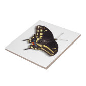 Carreau Tuile papillon - Black Swallowtail (Côté)