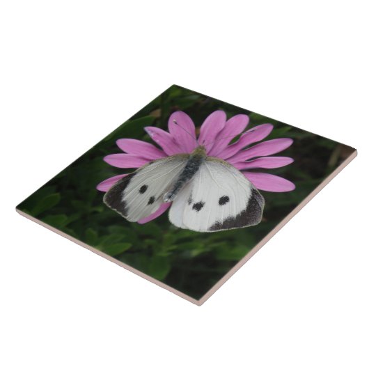 Carreau Tuile papillon et rose (Côté)