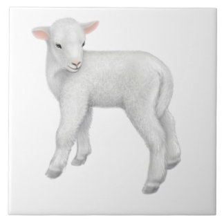 Carreau Tuile personnalisable de petit agneau de bébé