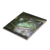 Carreau Tuile photo Bullfrog (Côté)