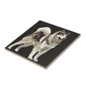 Carreau Tuile photo en céramique Husky Dog (Côté)