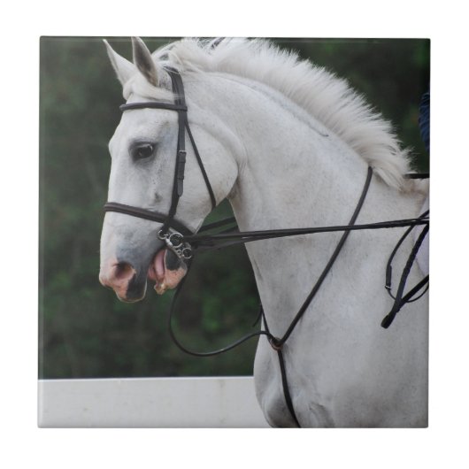 Carreau Tuile rassemblée de cheval blanc (Devant)