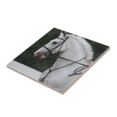 Carreau Tuile rassemblée de cheval blanc (Côté)