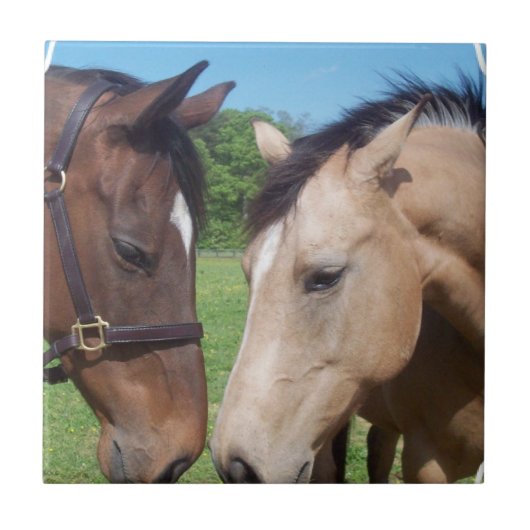 Carreau Tuile Romance de cheval (Devant)
