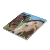 Carreau Tuile Romance de cheval (Côté)