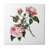 Carreau Tuile rose de cru (Devant)