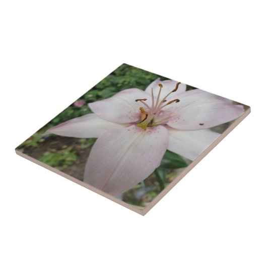 Carreau Tuile rose de lis (Côté)