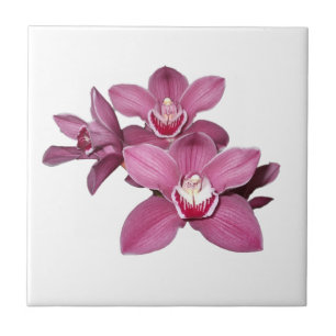 Carreau Tuile rose d'orchidées de Cymbidium