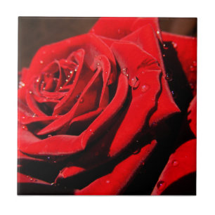 Carreau Tuile rose simple rouge humide