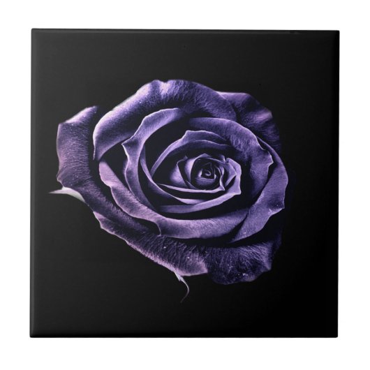 Carreau Tuile rose violet (Devant)