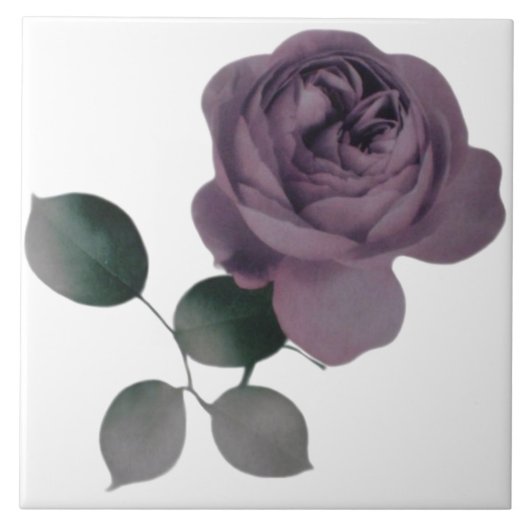 Carreau Tuile Rose violet (Devant)