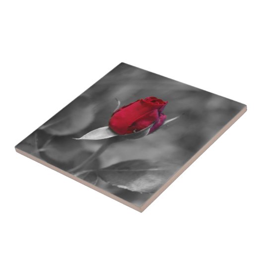 Carreau Tuile rouge de Rosebud (Côté)