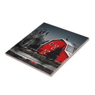 Carreau Tuile rouge spectaculaire de grange