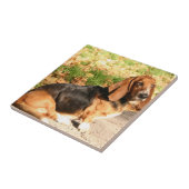 Carreau Tuile se reposante de Basset Hound (Côté)