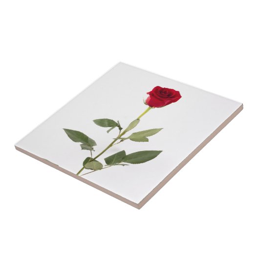 Carreau Tuile simple de rose rouge (Côté)