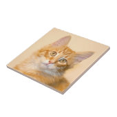 Carreau Tuile tigrée orange de chaton (Côté)