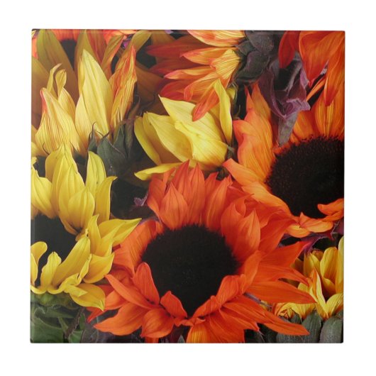 Carreau Tuile, tournesols # 1 (Devant)