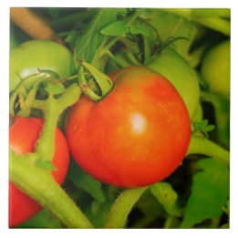 Carreau Tuile/trépied de rougissement de cuisine de