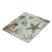 Carreau Tuile vintage de coquillages… (Côté)