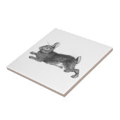 Carreau Tuile vintage de lapin (Côté)