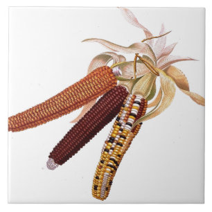 Carreau Tuile vintage de maïs