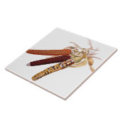 Carreau Tuile vintage de maïs (Côté)