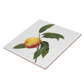 Carreau Tuile vintage de peinture de pêche de (Côté)