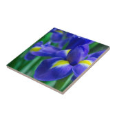 Carreau Tuile violette d'iris barbu (Côté)