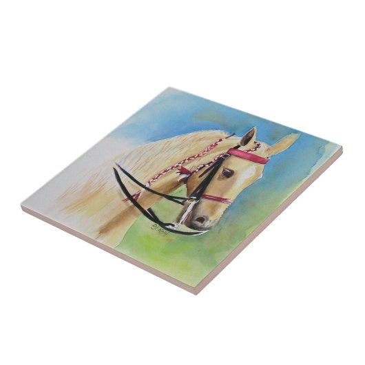 Carreau Tuiles (Côté)