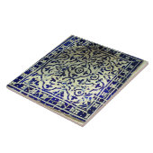 Carreau Tuiles de mosaïque de Guell du parc de Gaudi (Côté)