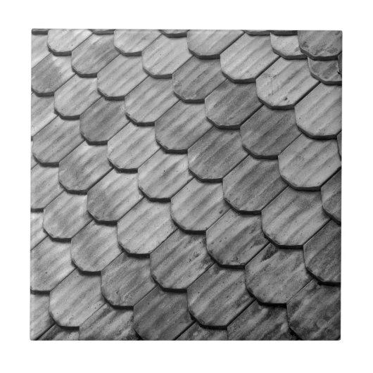 Carreau Tuiles de toit (Devant)