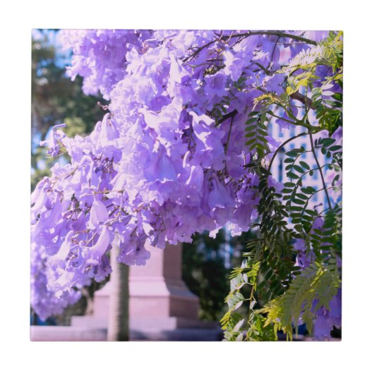 Carreau Tuiles décoratives de l'arbre Princess Purple d'Au (Devant)