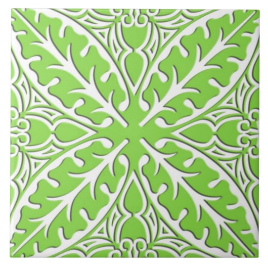 Carreau Tuiles marocaines - vert et blanc de chaux (Devant)
