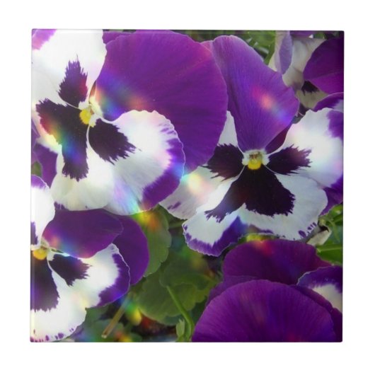 Carreau Tuiles ou trépieds de pensées (Devant)