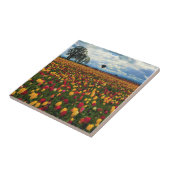 Carreau Tulip Farm (Côté)