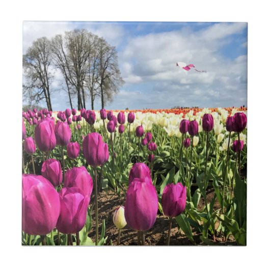 Carreau Tulip Field with Kite (Devant)