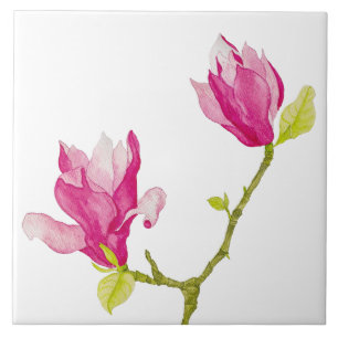 Carreau Tulip Magnolias sur un carrelage en céramique (1)
