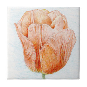 Carreau Tulipe colorée à la Pêche