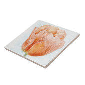 Carreau Tulipe colorée à la Pêche (Côté)