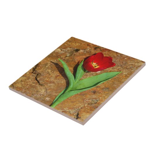 Carreau Tulipe jaune et rouge (Côté)